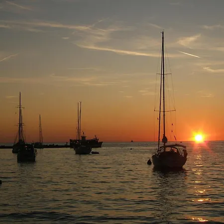 Rosetta Few Meters From The Novigrad Istria