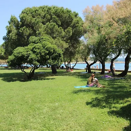 Rosetta Few Meters From The Novigrad Istria